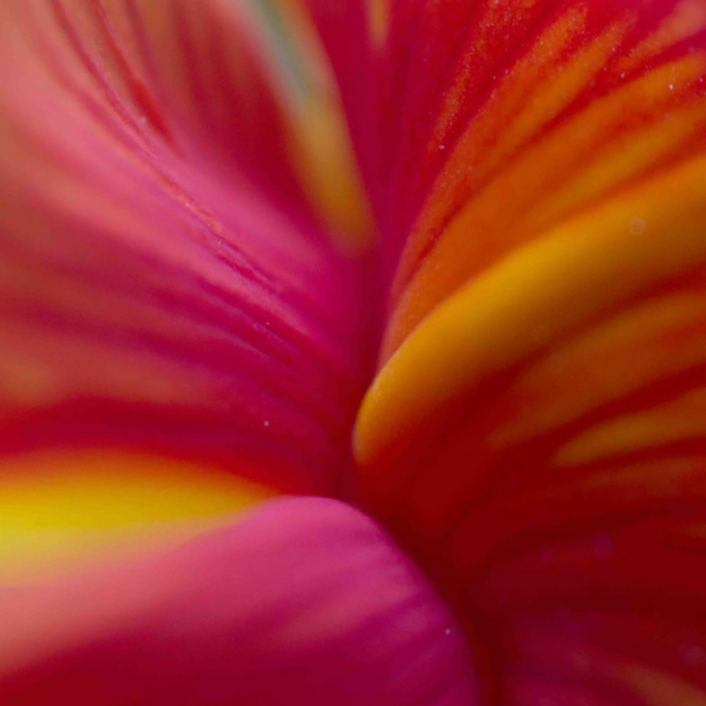 Deep Conditioning Treatment