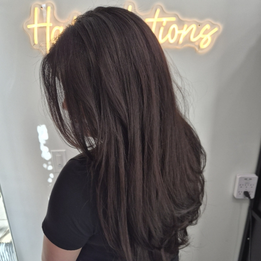 All Over Color at Hairvolutions in Gilbert, AZ