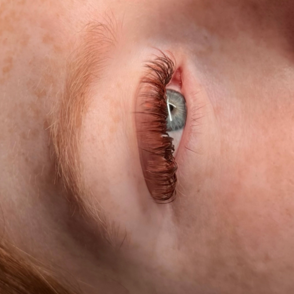 Color Match Fill at Lacey Lashes in Clearwater, FL