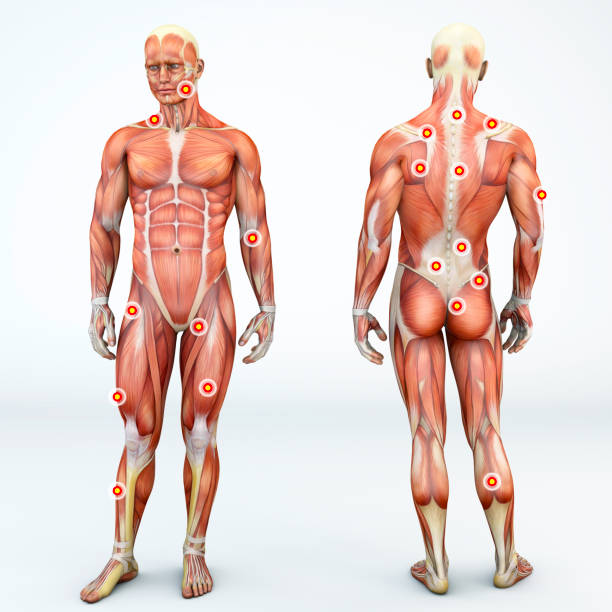 Orthopedic Massage