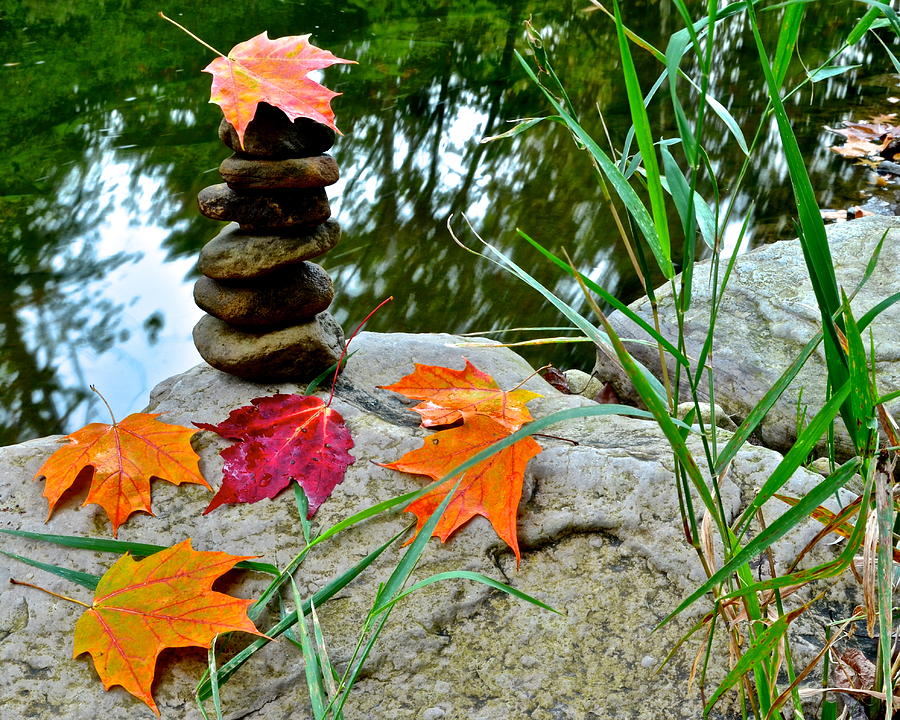 Autumn Energy Renewal Session