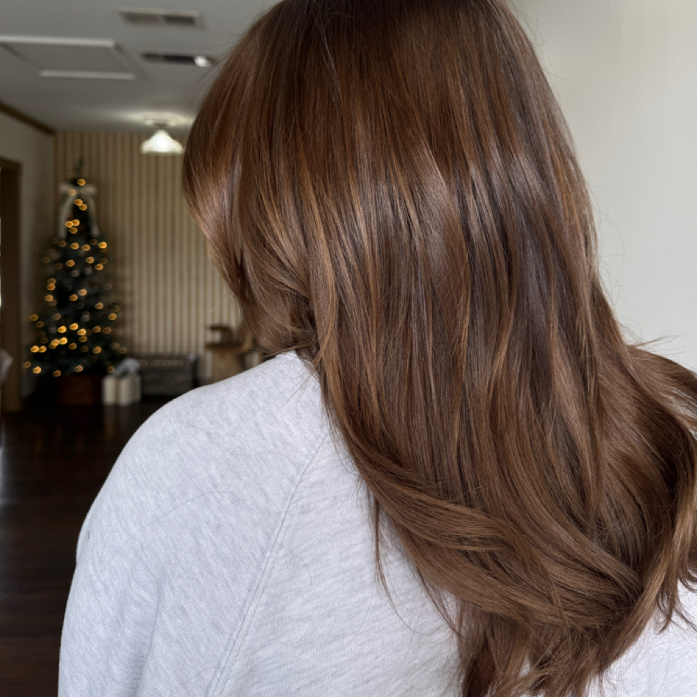 All Over Cover + New Extensions at Hairby_haleythepainter in Stephenville, TX