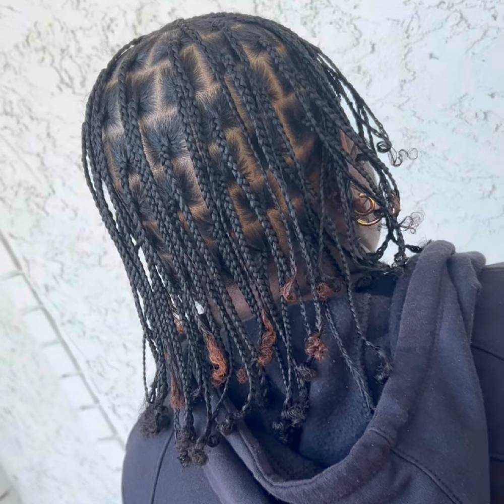 Braided Plaits at Eden Holistic Hair in Hendersonville, TN