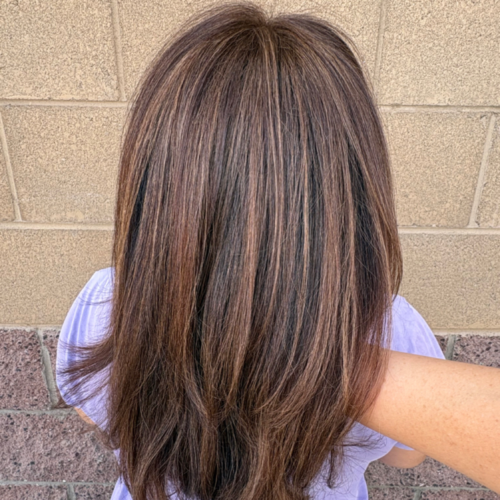 COLOR + PARTIAL HIGHLIGHT at Desert Rose Salon-Studio in Peoria, AZ