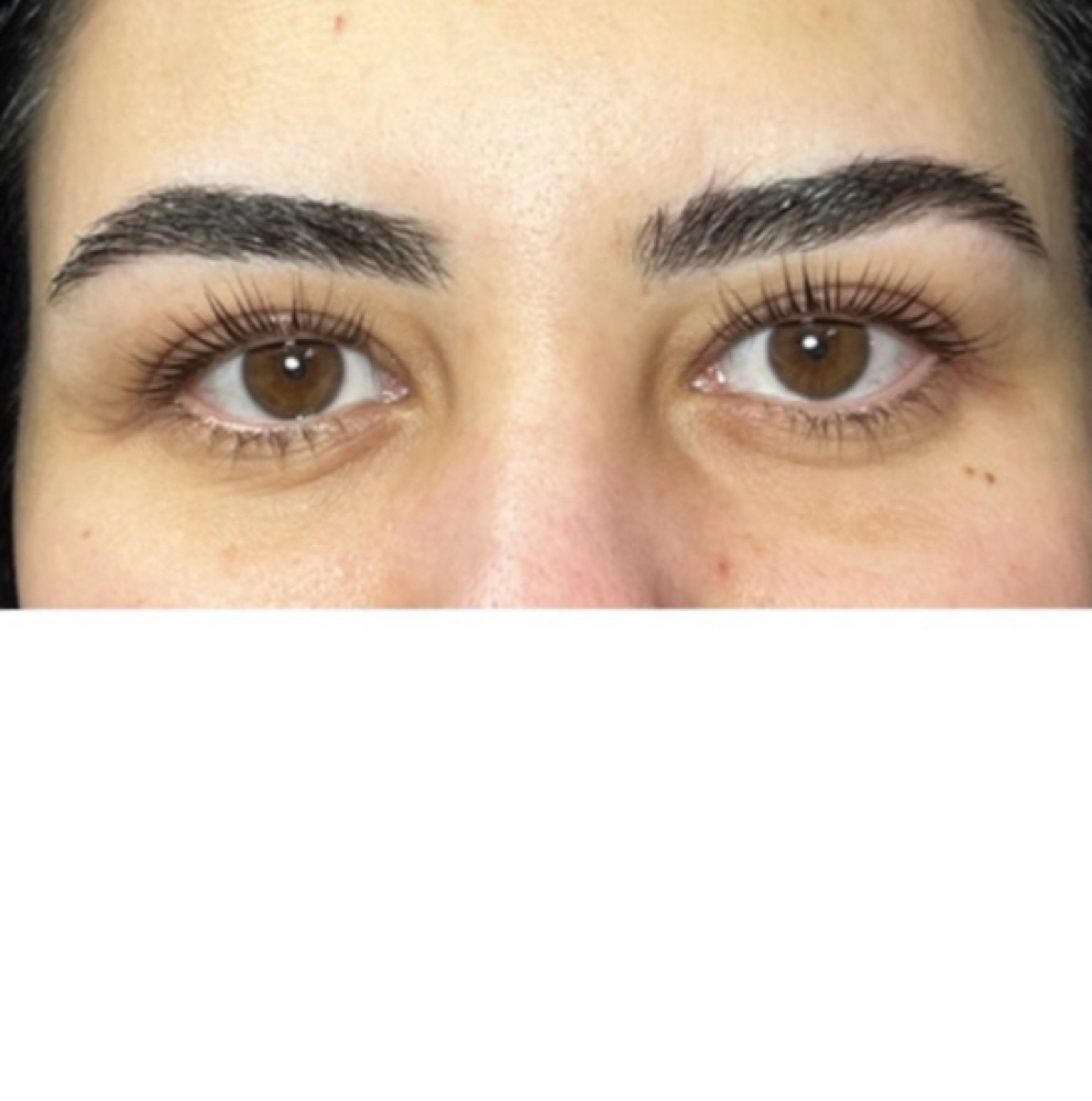 KOREAN LASH LIFT + TINT at Shei Lashes Co. in Centennial, CO