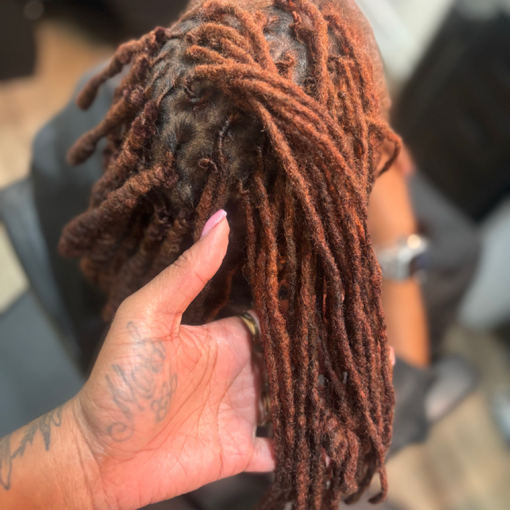 Tier 4: Signature Color Experience at SaMecia Blount Locs Hair in Durham, NC