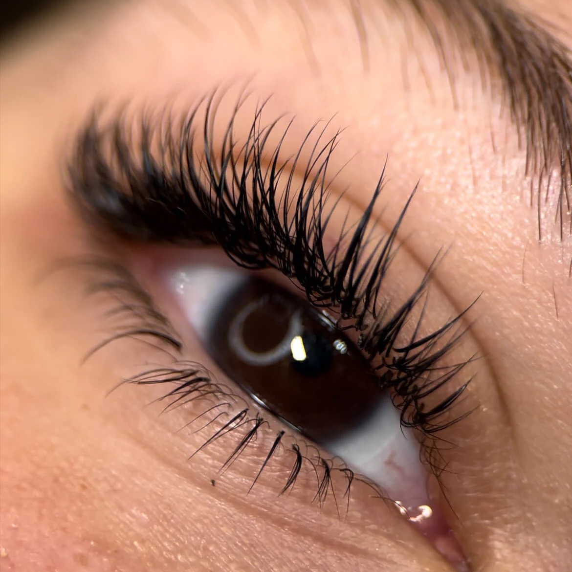 Bottom Lash at OMG HEAD SPA AND LASH in Cypress, TX