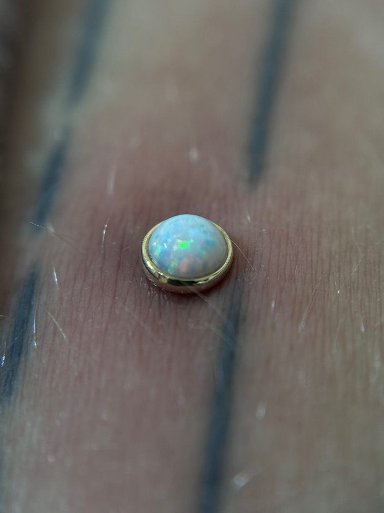 Dermal