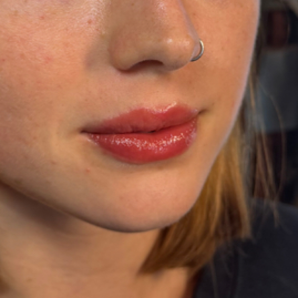 Existing Client Lip Touchup