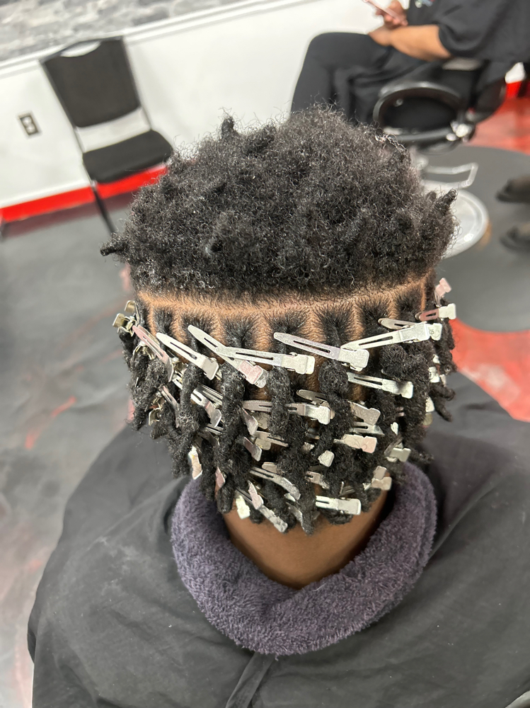 Starter Locs