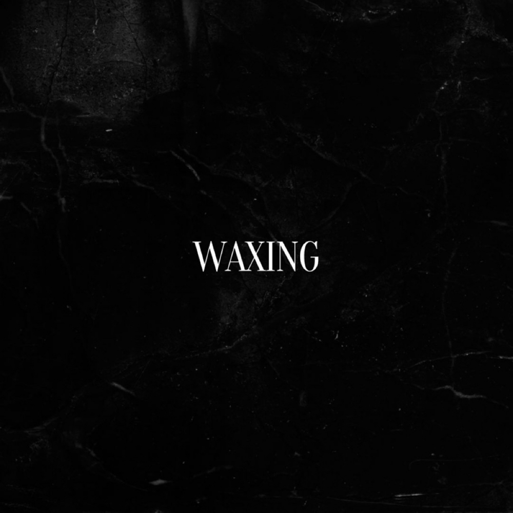 Brow & Lip Wax at Noir Beauty by Nicole in Johnson City, NY