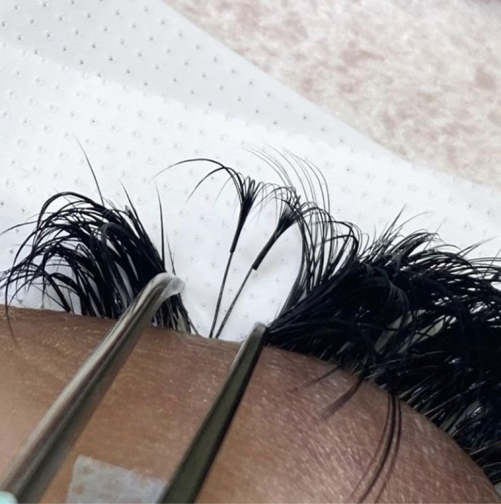 Lash Refills (4-5 weeks) $90-$100 at L'Atelier Ivy in Citrus Heights, CA