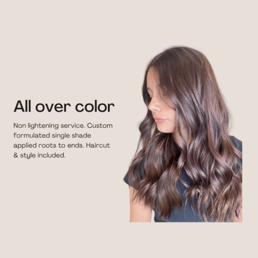 All Over Color at Sarah’s Hair Studio | Ivy + Mane Collective in Lafayette, IN