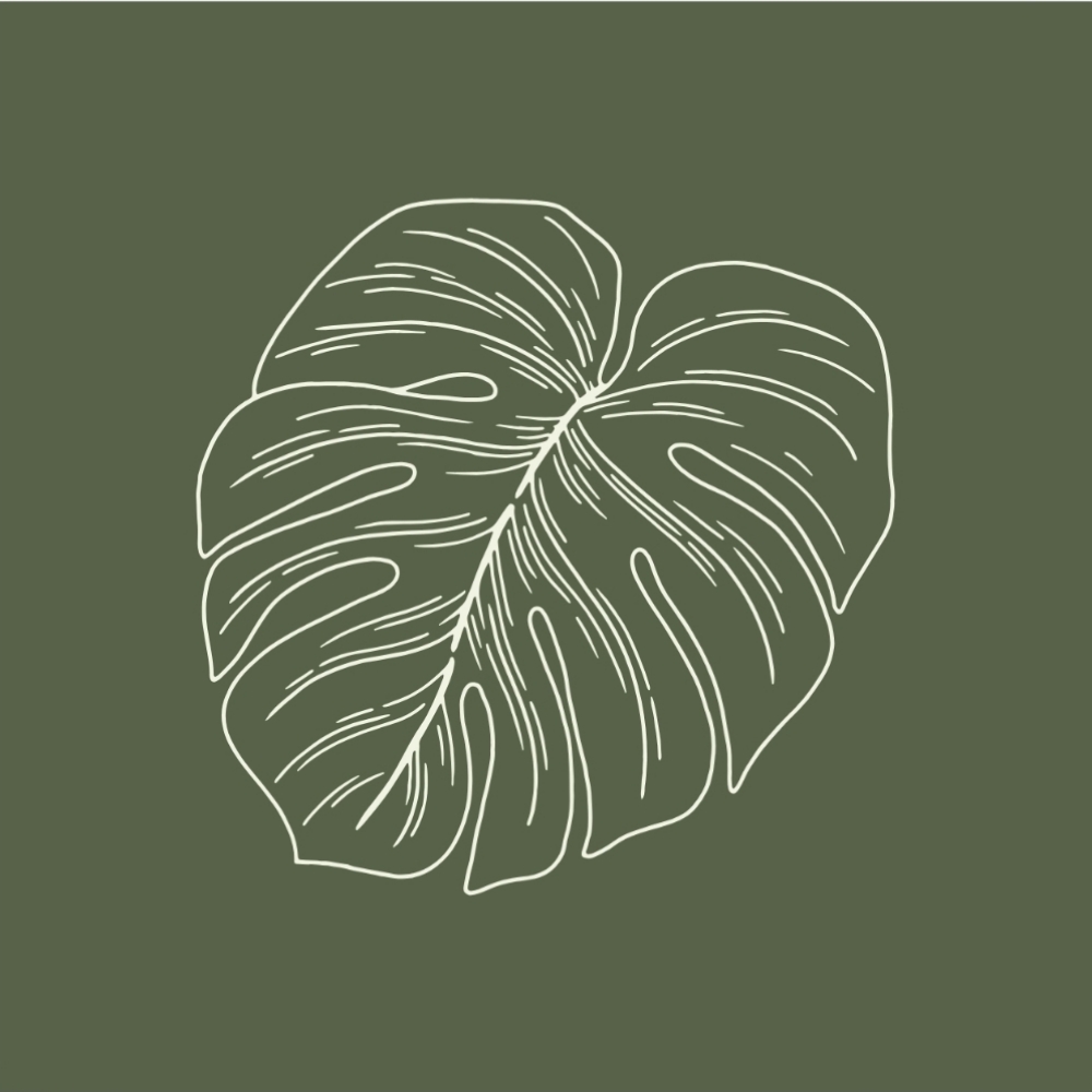 K-Glow Hydro Facial at The Skin You're In in Overland Park, KS