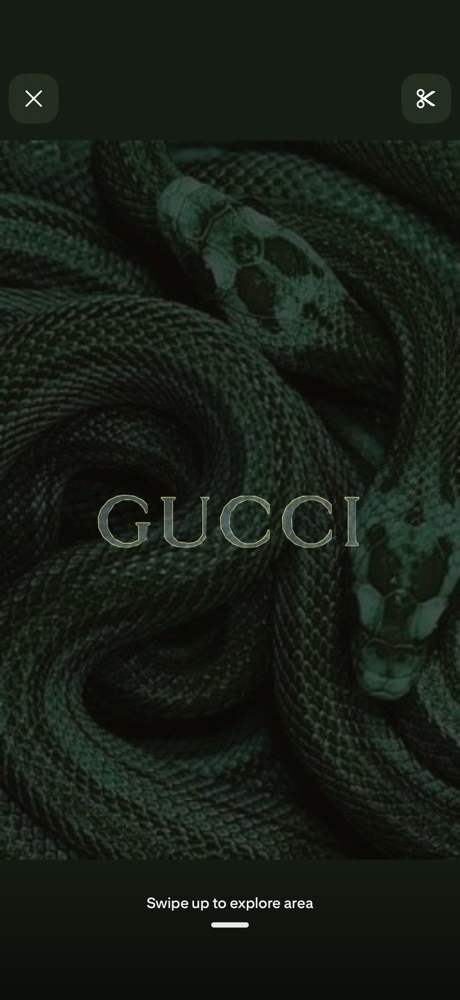 All Over Color at Tessa Little - Harlow in Johnson City, TN