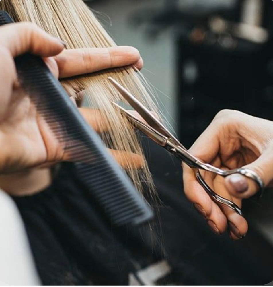 Haircut + Style
