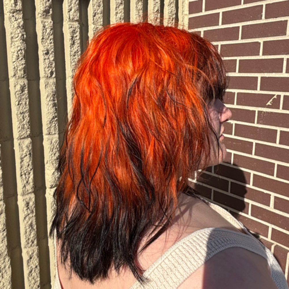 Two Hour Color at SUITE 303 in Omaha, NE