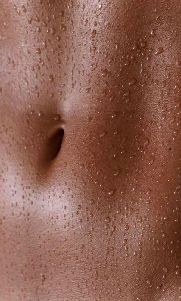 Stomach