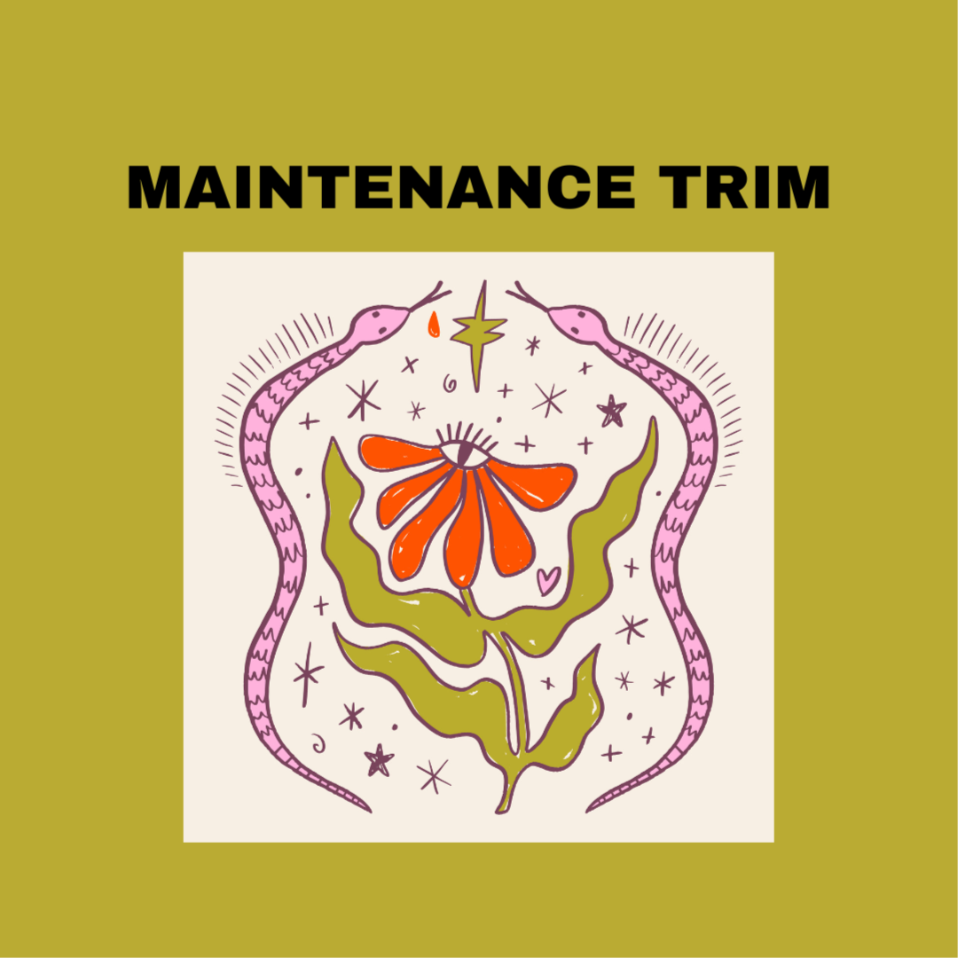 Maintenance Trim at ACE Collective Salon+Wellness in Pittsburgh, PA