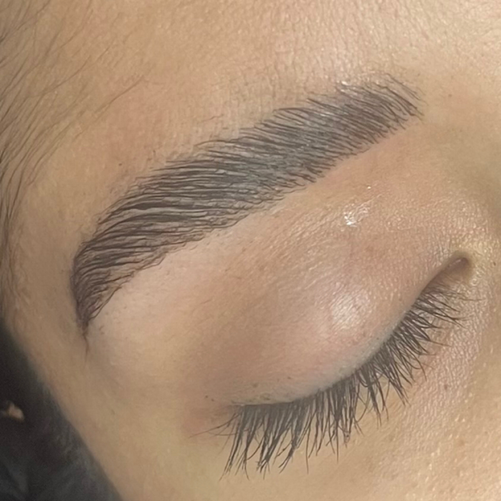 Brow Tint & Wax Only- No Lamination at Lash & Body Studio, LLC in Houston, TX