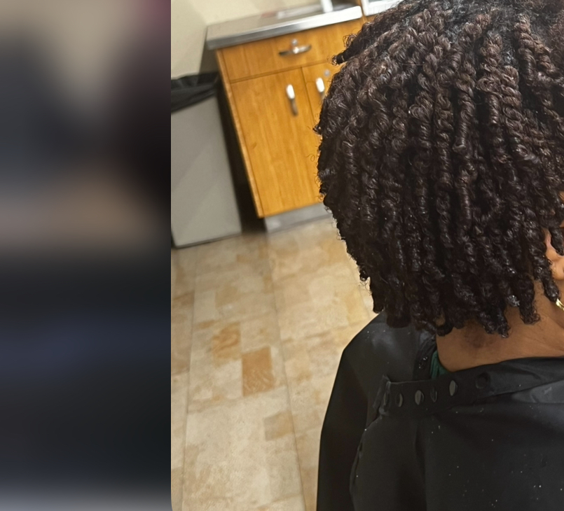 Two Strand Twist (Small)