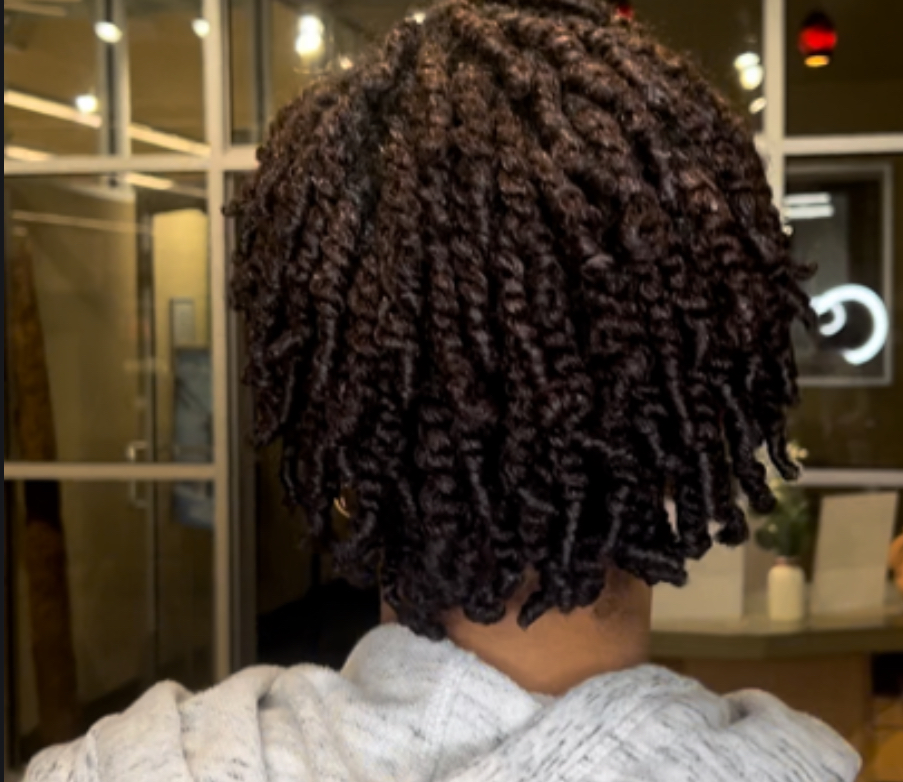 Two Strand Twist (Small)