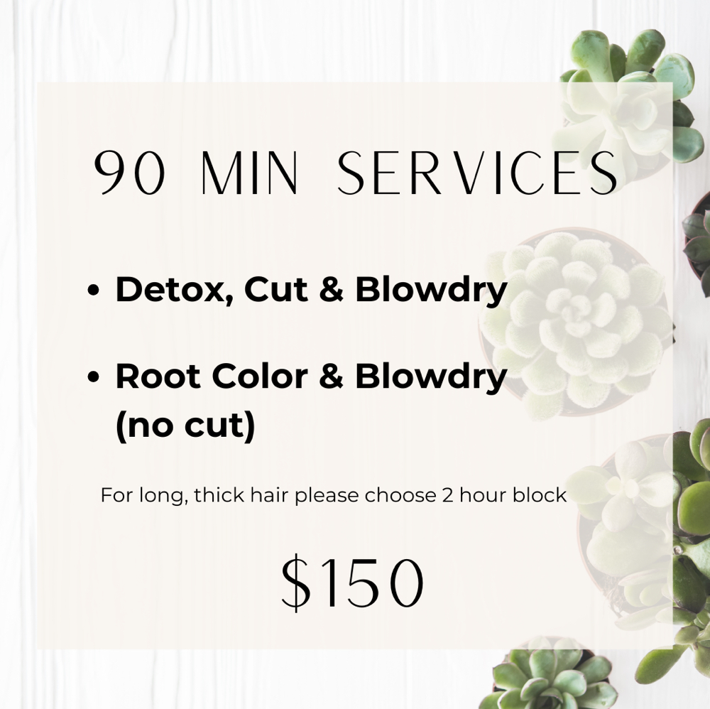 90 Min at Rylari Hair Studio in North Andover, MA