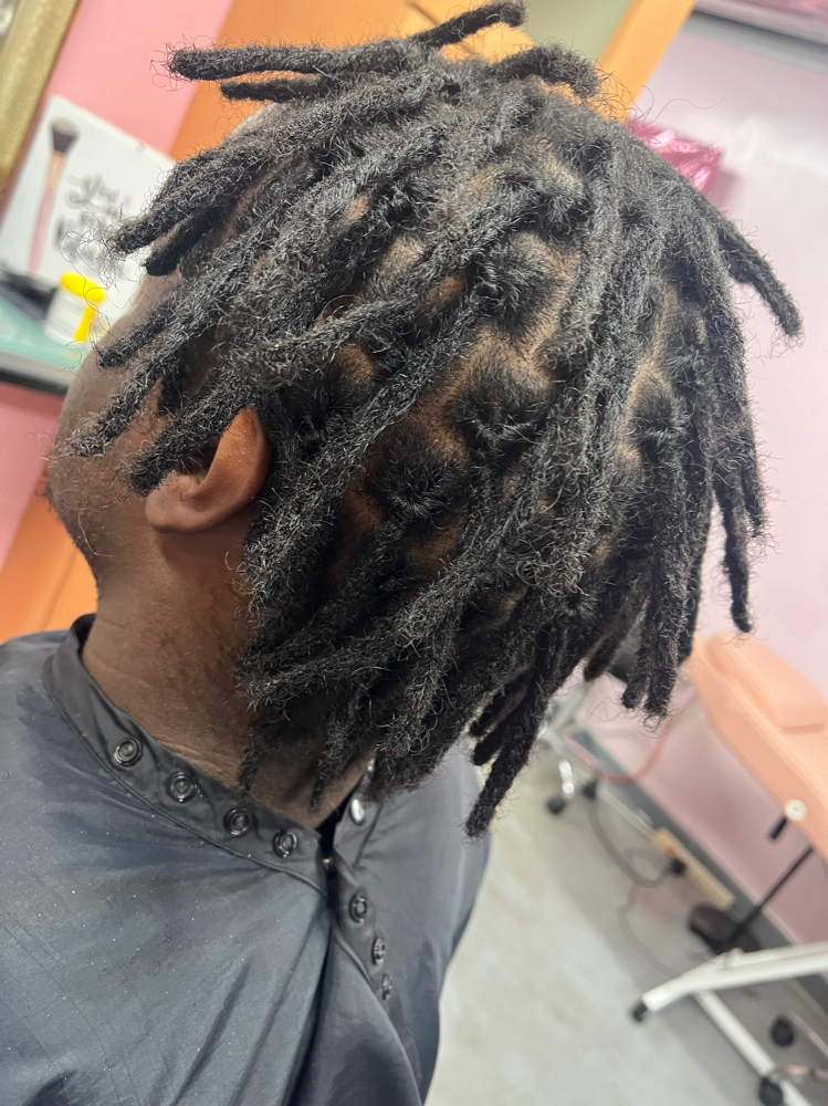 Starter Locs