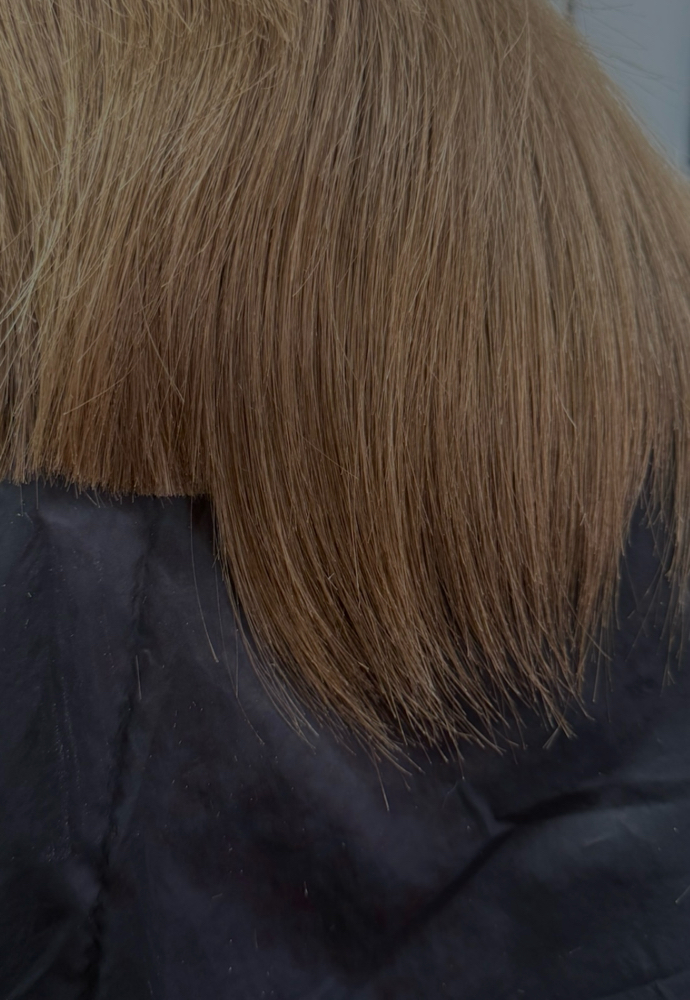 Wash, Cut & Style