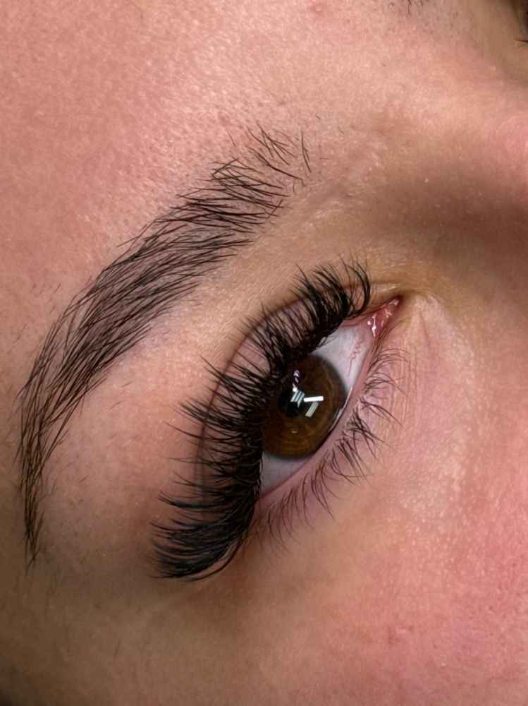 Hybrid Lash Full Set