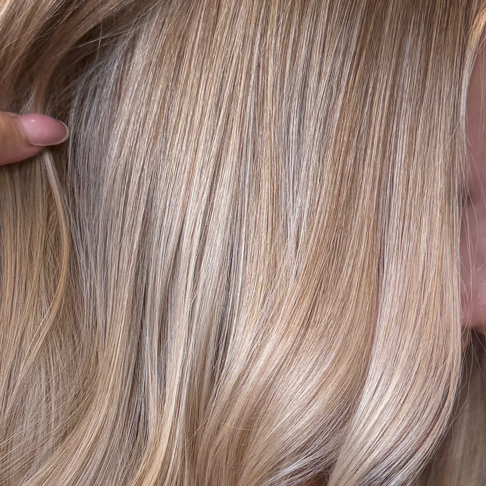 PARTIAL HIGHLIGHT + TONER at Firefly Hair Company LLC in CENTENNIAL, CO