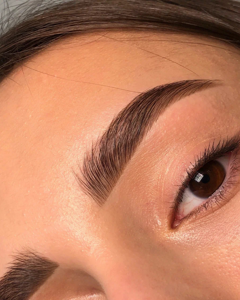 Brow Tint & Wax Combo