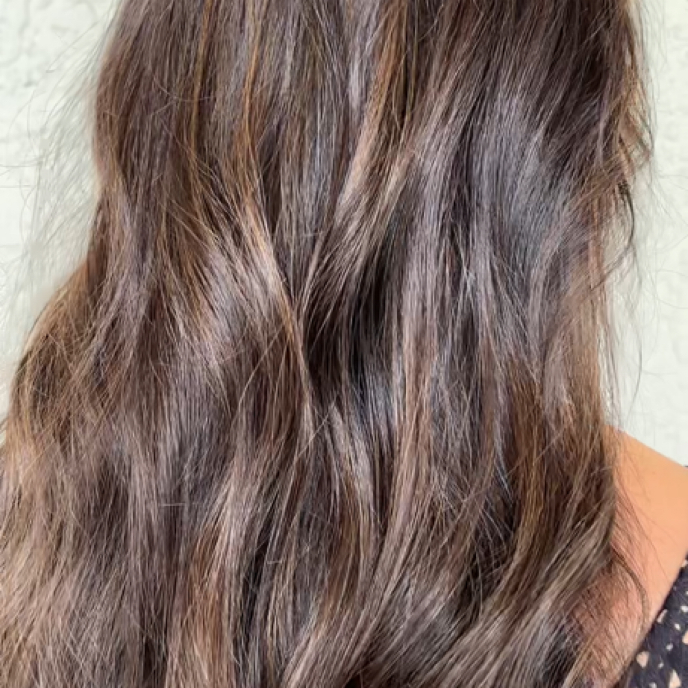 Partial Lowlight Gloss & Blowdry at Sólane by Shailee in Naples, FL