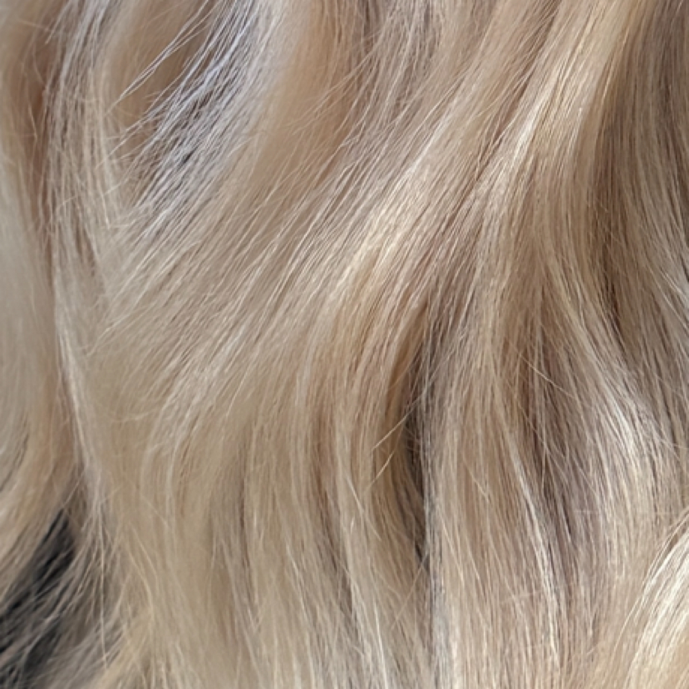 EXTRA FULL at Kaitlyn LaVassaur in Eugene, OR