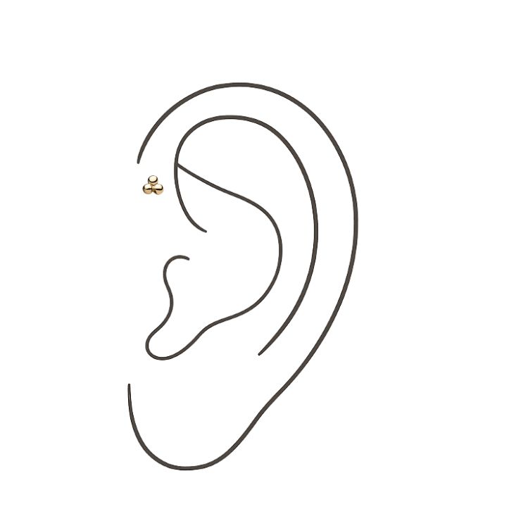 Forward Helix (Jewelry Included)