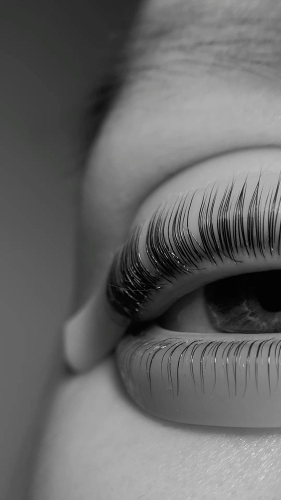 LASH LIFT