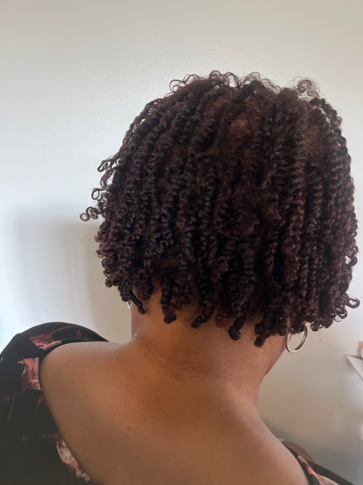 2 Strand Twist (level 3)