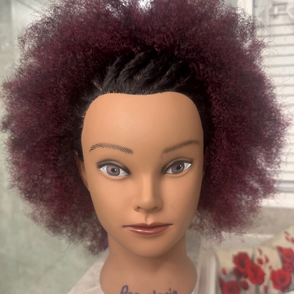 Half Crochet & Half Braids/Twists at The Oasis Natural Hair Salon in Gibsonville, NC