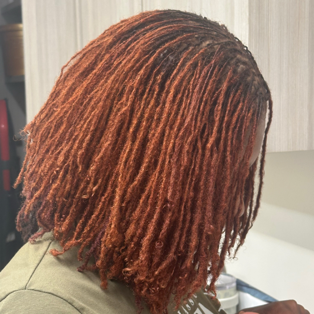 Microlocs (1 Day Service Cash ONLY) at Salon One By Paris in Westerville, OH