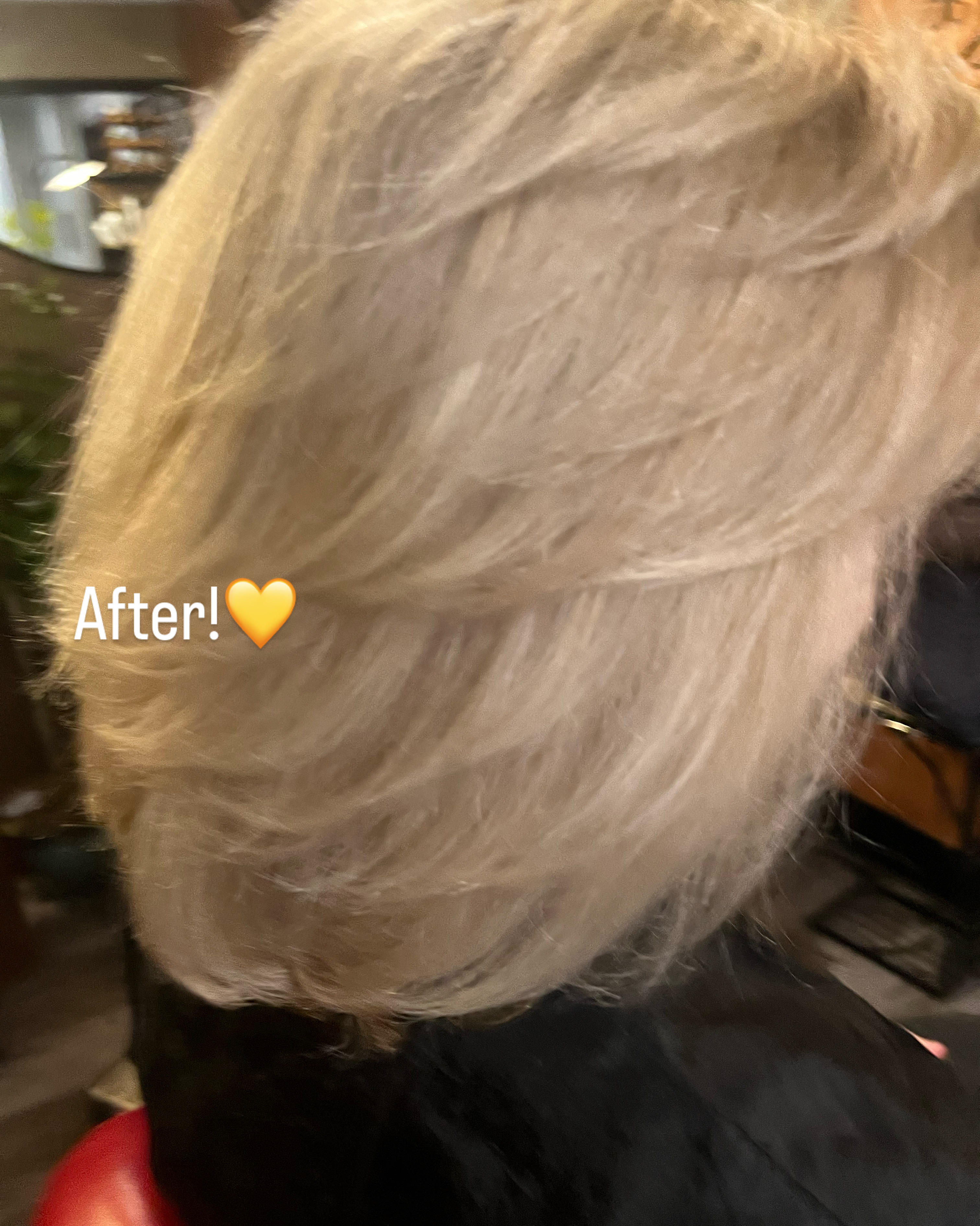 Cut,Blow out and Style ( Curl Etc) at WILDFLOWER COLLECTIVE in Mountain Brook, AL