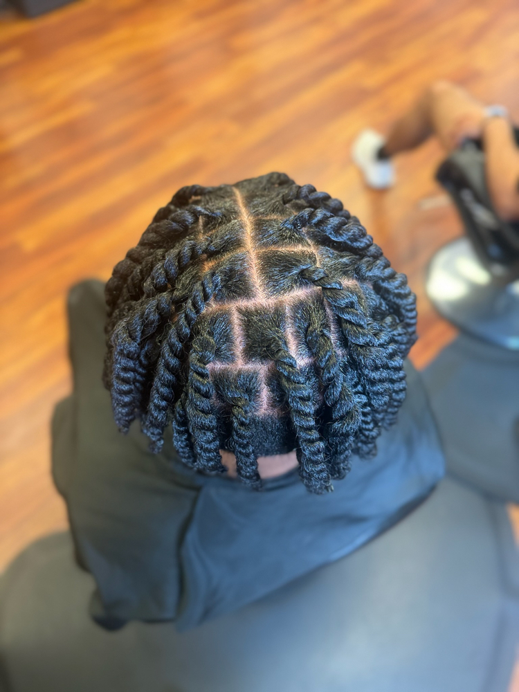 Two Strand Twist