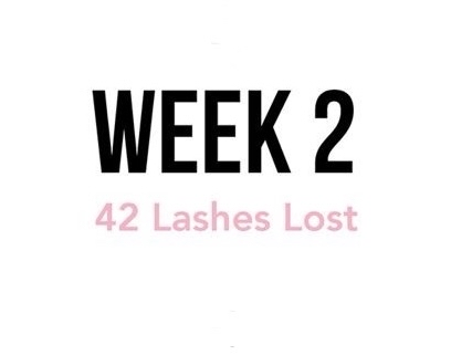 2 Week Lash Fills