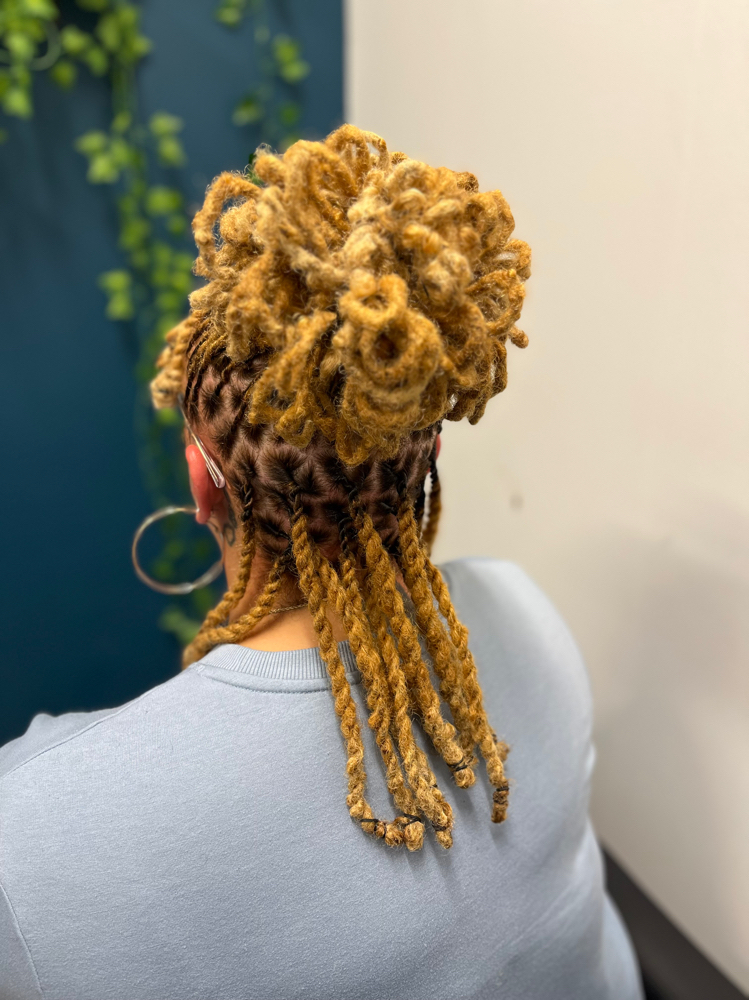 Retwist (Updo/Curls)