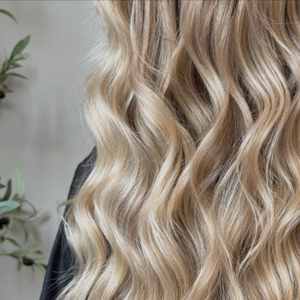 Blonde Daze at Manedaze in Zionsville, IN