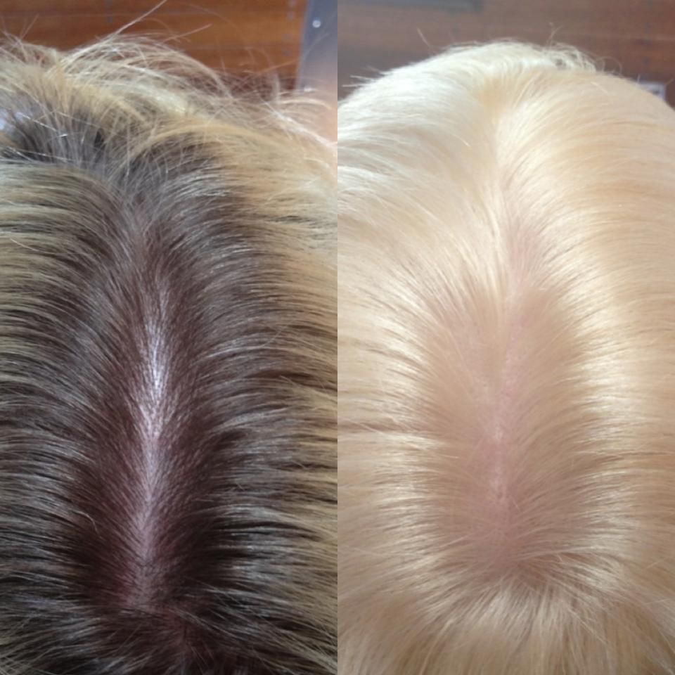 Bleach & Tone at Blondies & Co. in Roselle, IL