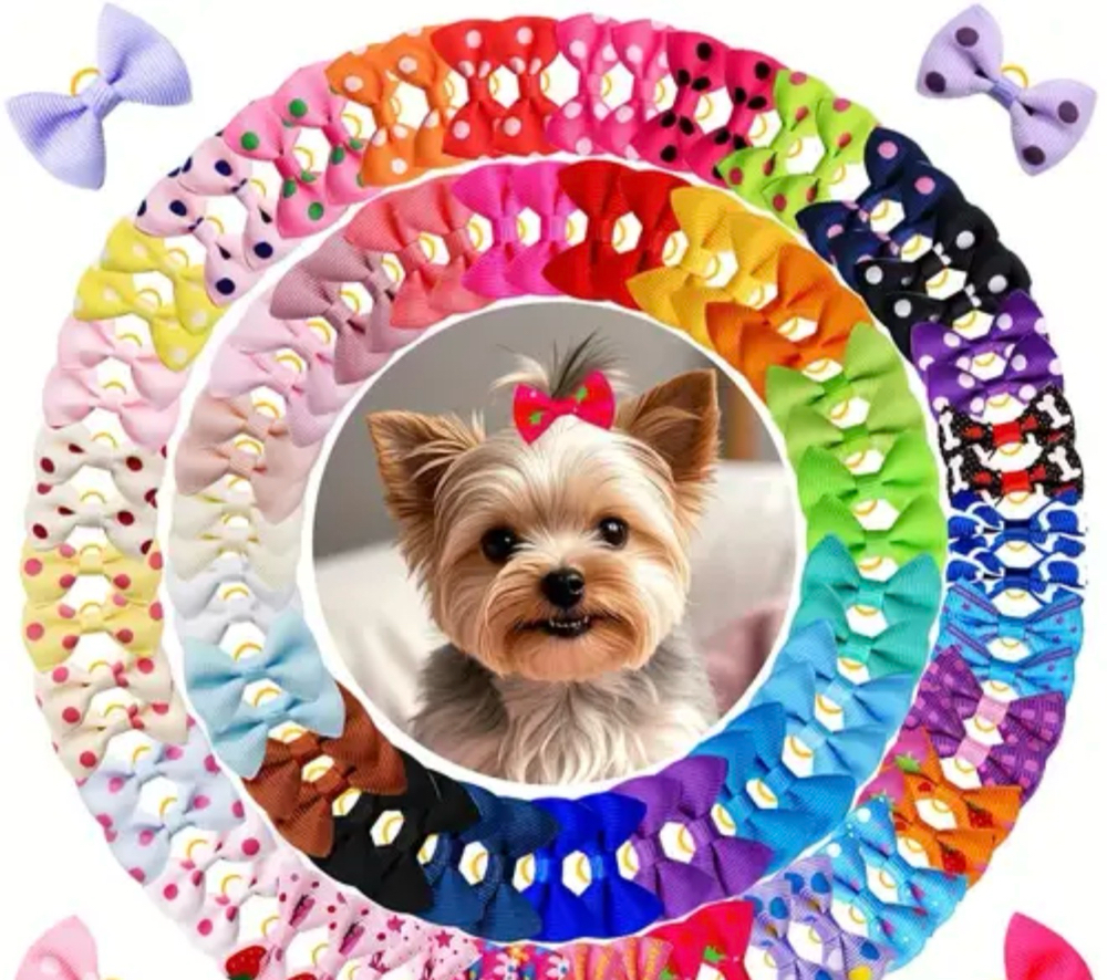 Accessories at Lexury Grooming in Maple Hts, OH
