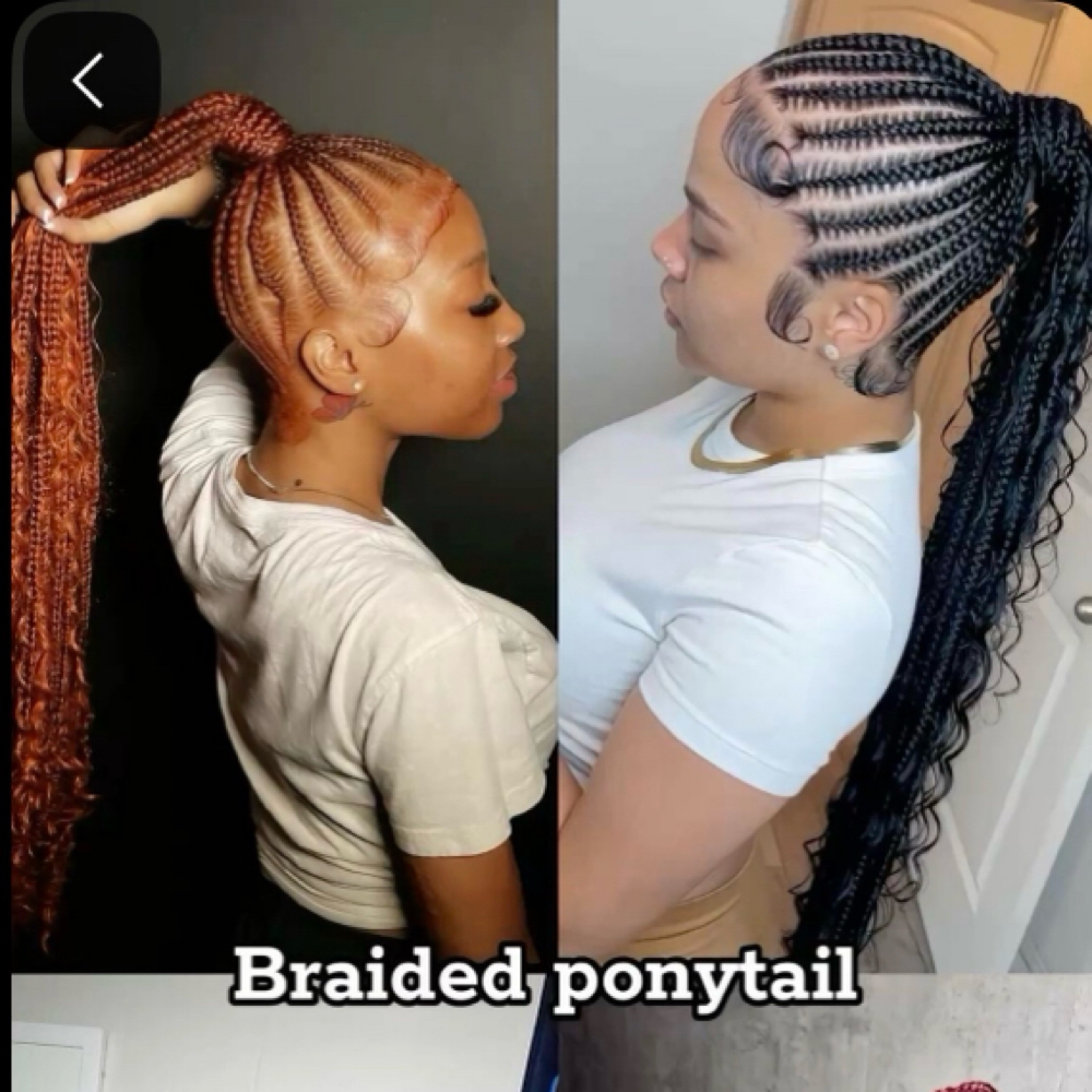 Braided Ponytail Updo at Mimic This Beauty in Killeen, TX