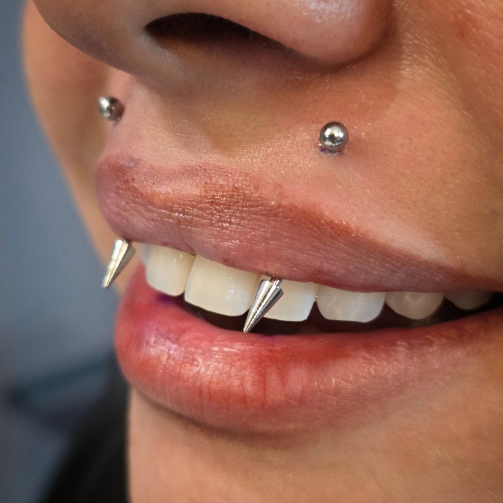 Adv Lip Piercings Read Description at The Piercing Bar in Mcallen, TX