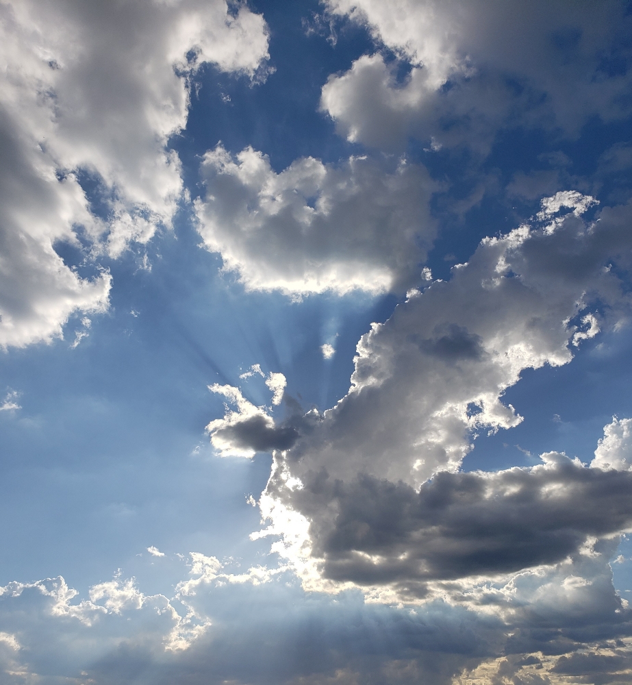 Generational Trauma Release