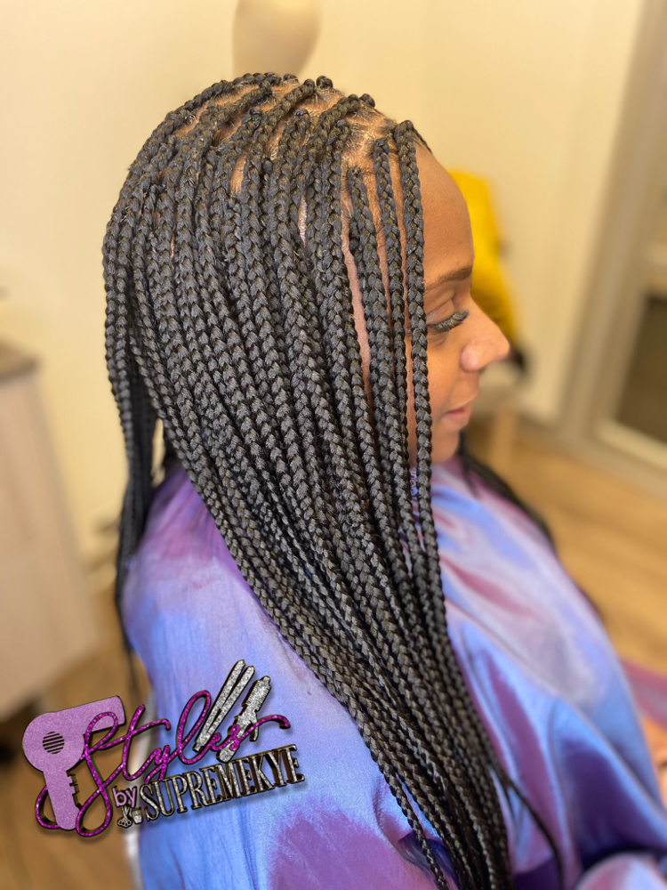 Small Box Braids (Mid back)